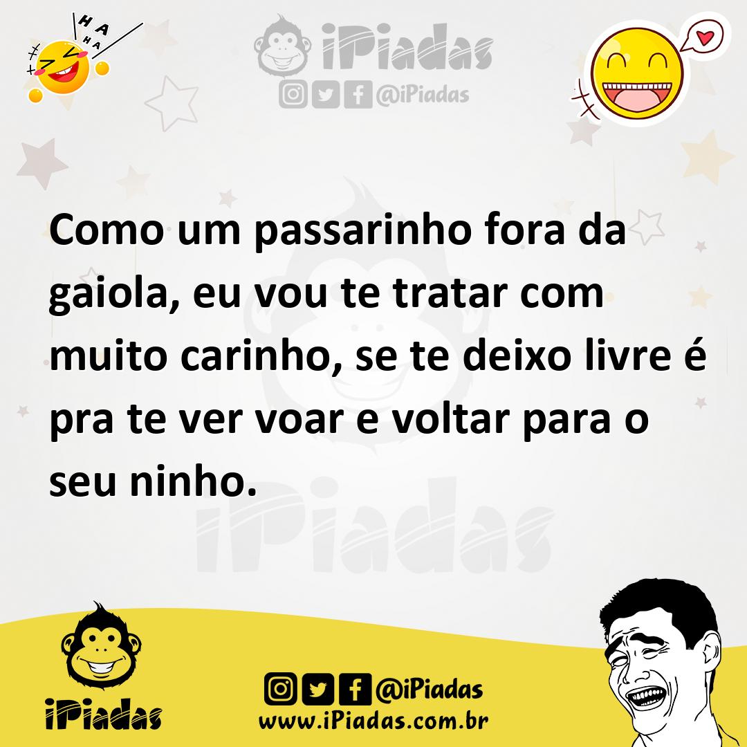 Ilustração de Como um passarinho fora da gaiola, eu vou te tratar com muito carinho,... no iPiadas