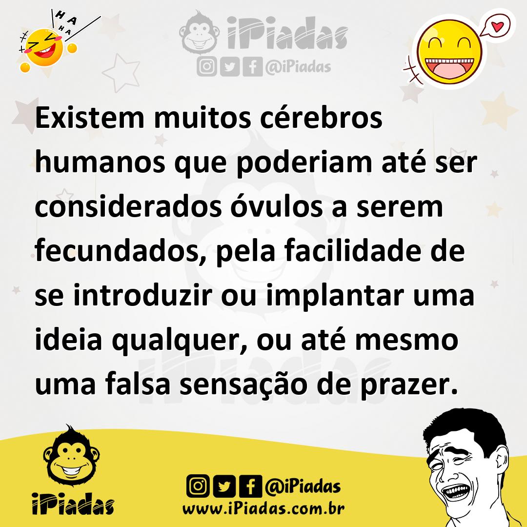 Ilustração de Existem muitos cérebros humanos que poderiam até ser considerados óvul... no iPiadas