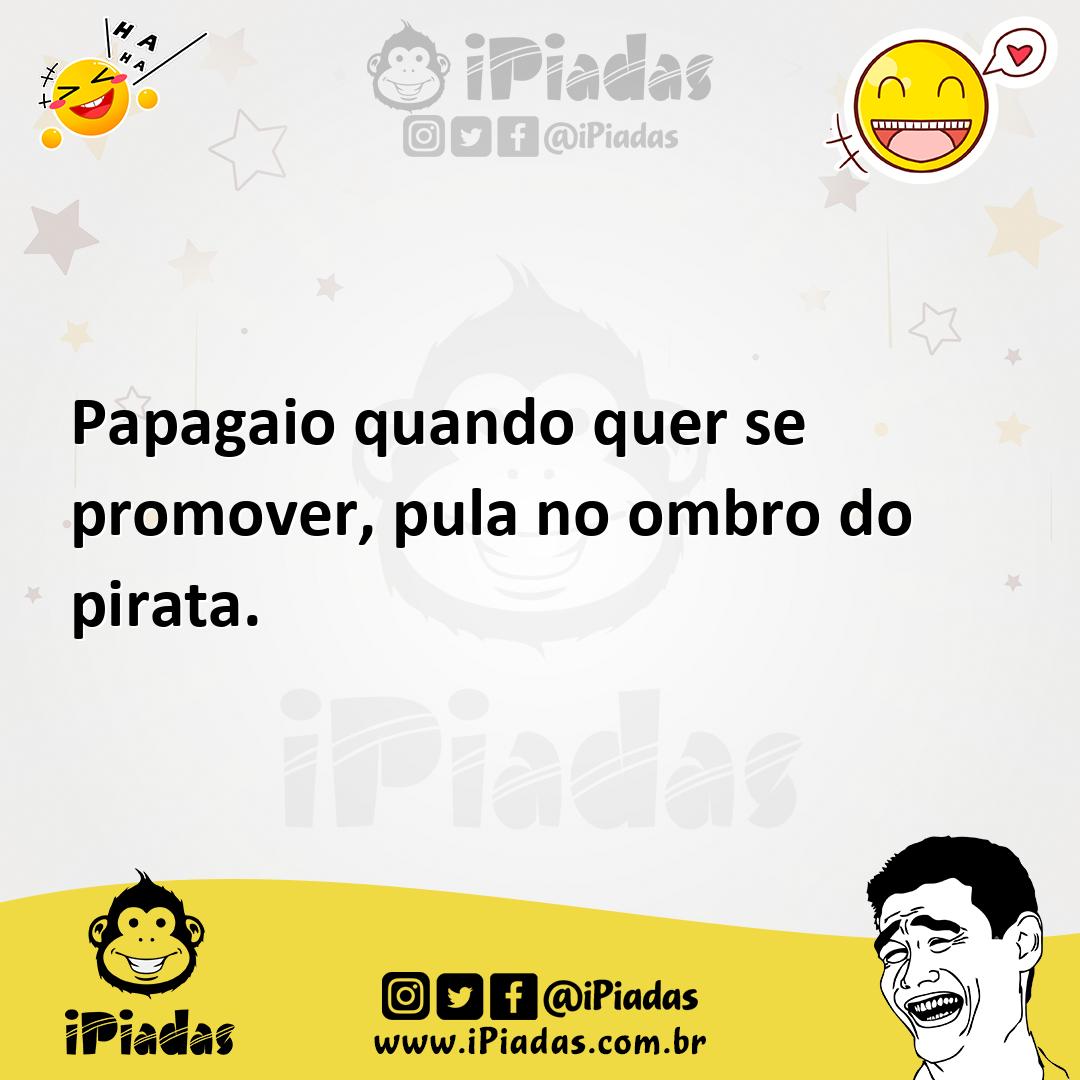 Ilustração de Papagaio quando quer se promover, pula no ombro do pirata. no iPiadas