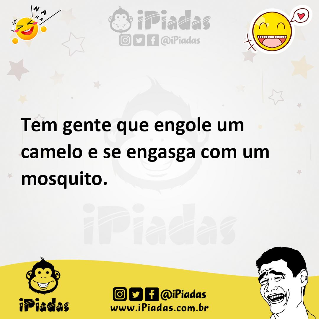 Ilustração de Tem gente que engole um camelo e se engasga com um mosquito. no iPiadas