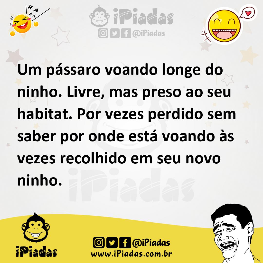 Ilustração de Um pássaro voando longe do ninho. Livre, mas preso ao seu habitat. Por... no iPiadas