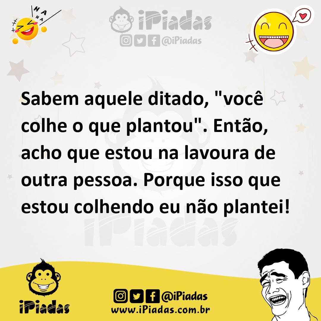 Ilustração de Sabem aquele ditado, "você colhe o que plantou". Então, acho que estou... no iPiadas