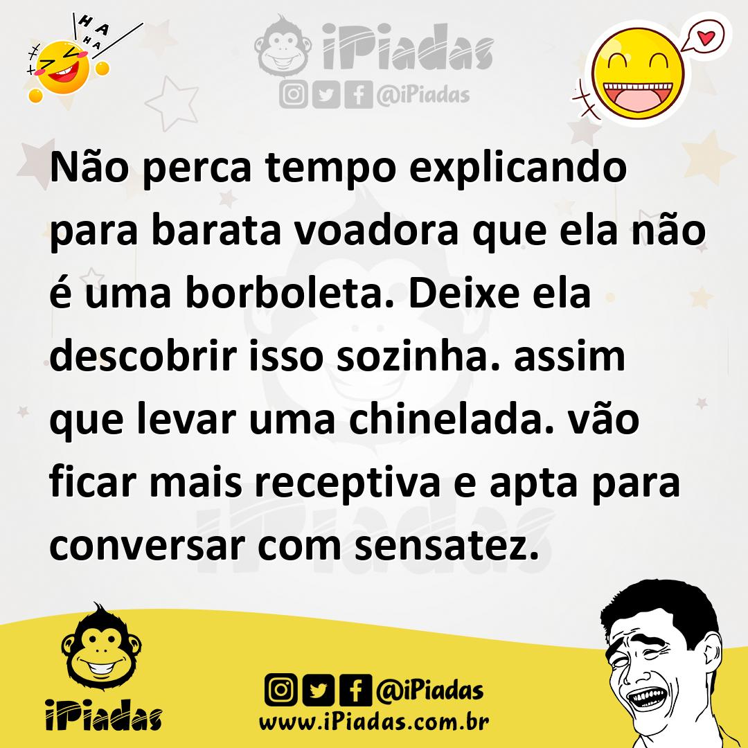 Ilustração de Não perca tempo explicando para barata voadora que ela não é uma borbo... no iPiadas