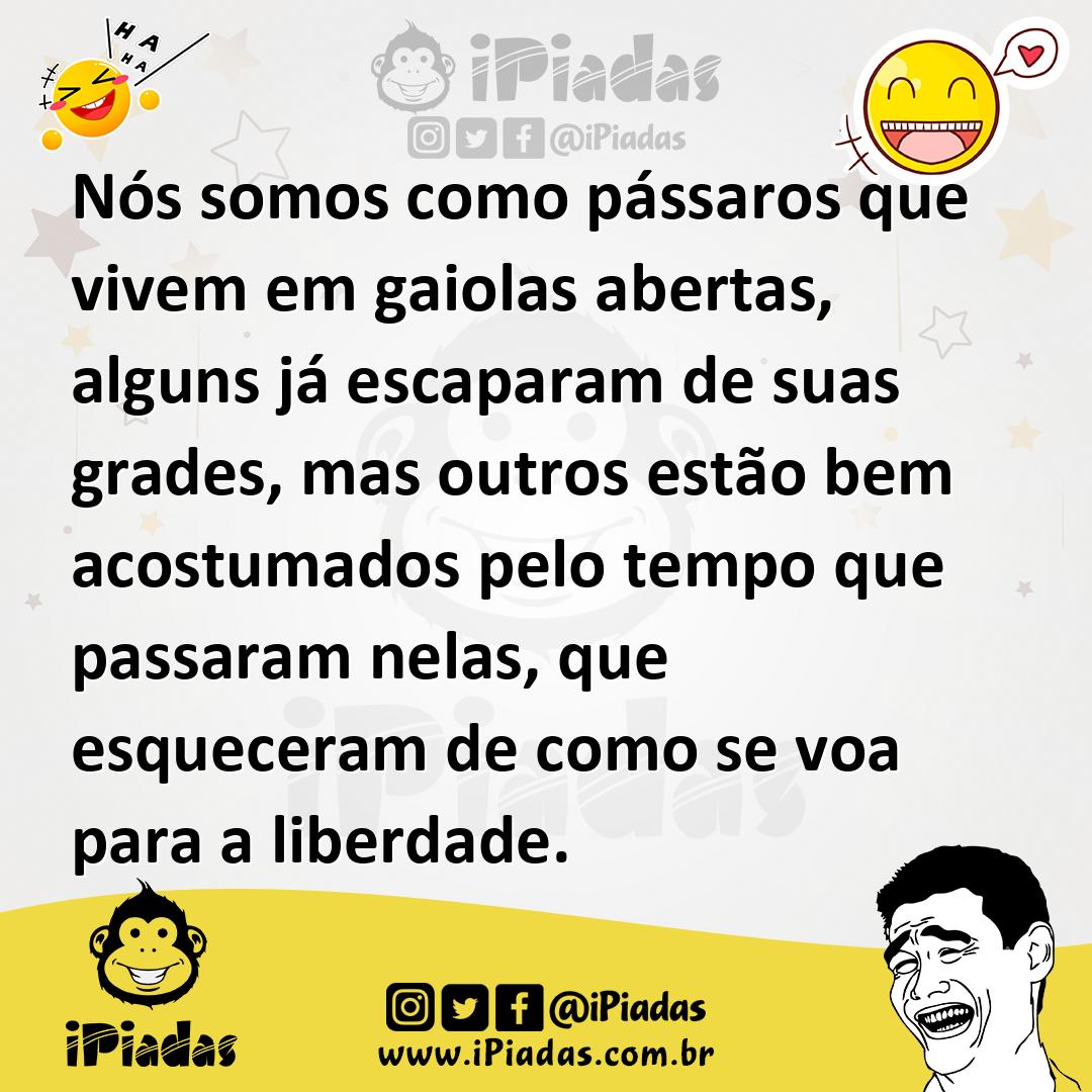 Ilustração de Nós somos como pássaros que vivem em gaiolas abertas, alguns já escapa... no iPiadas
