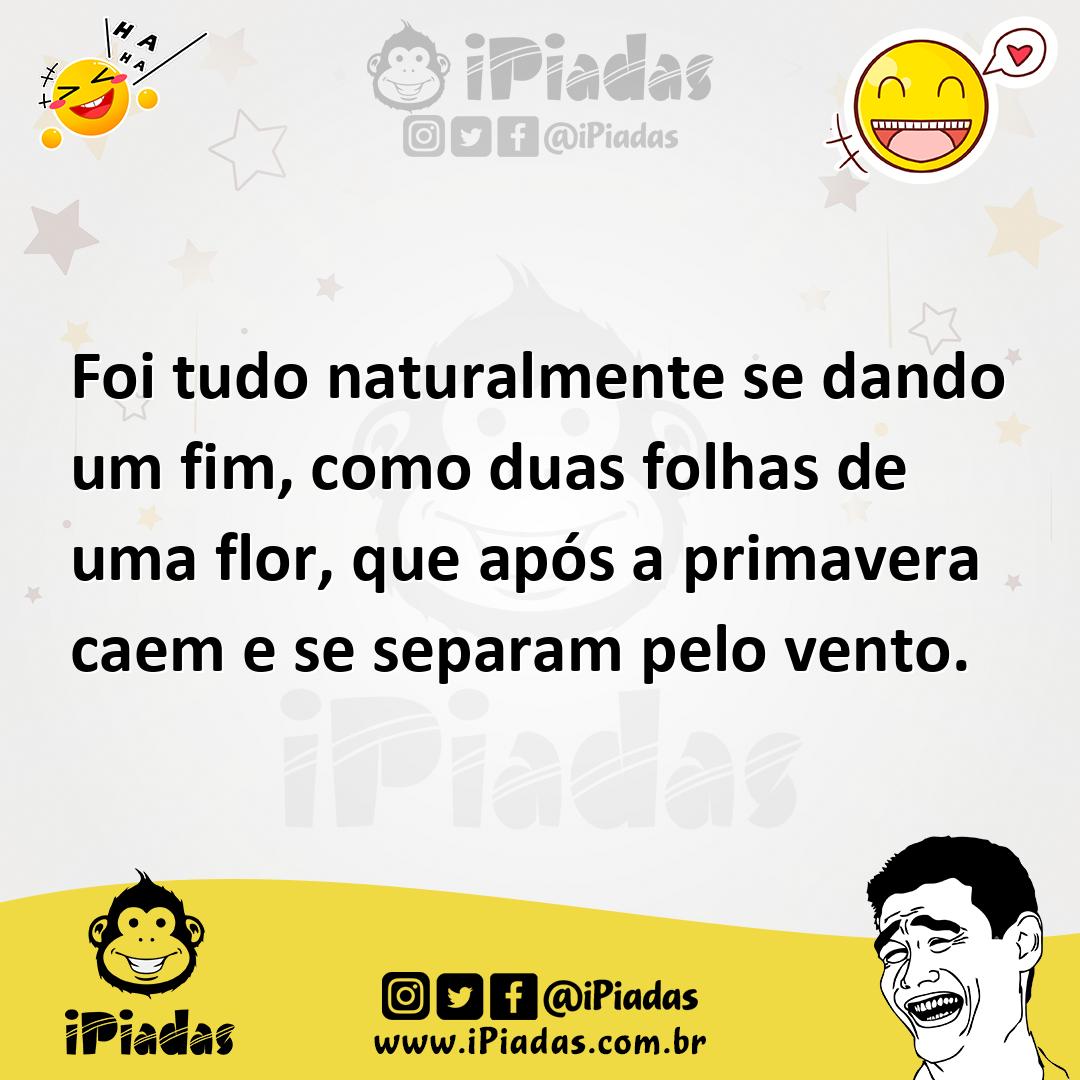 Ilustração de Foi tudo naturalmente se dando um fim, como duas folhas de uma flor, q... no iPiadas