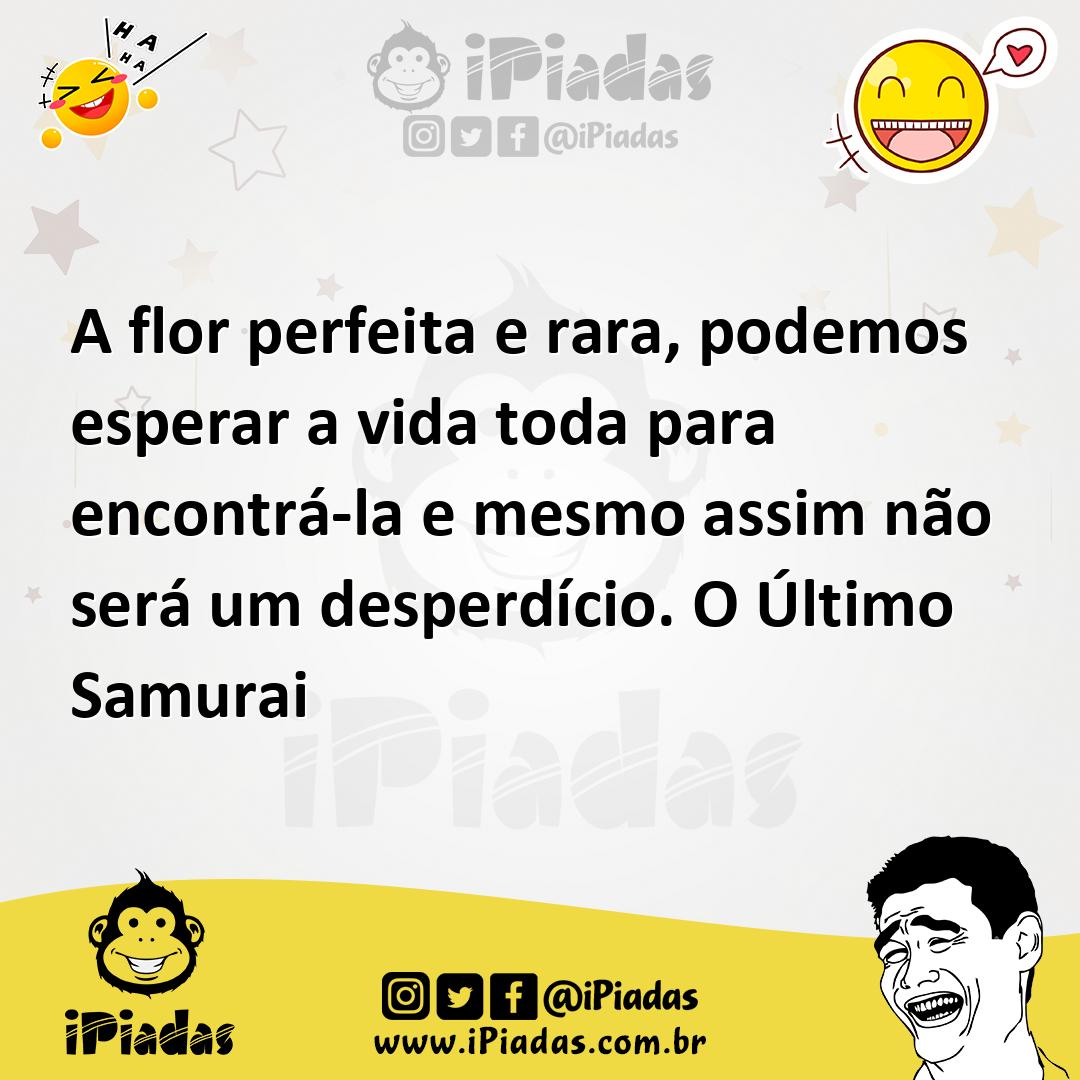 Ilustração de A flor perfeita e rara, podemos esperar a vida toda para encontrá-la e... no iPiadas