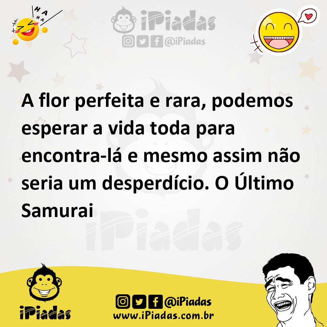 Ilustração de A flor perfeita e rara, podemos esperar a vida toda para encontra-lá e... no iPiadas