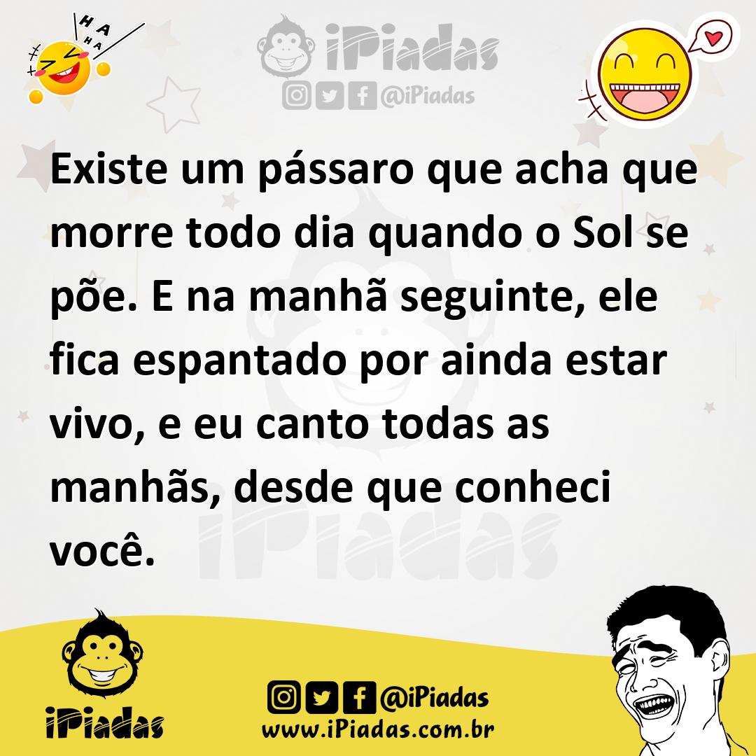 Ilustração de Existe um pássaro que acha que morre todo dia quando o Sol se põe. E n... no iPiadas
