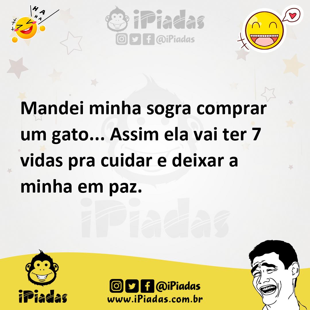 Ilustração de Mandei minha sogra comprar um gato... Assim ela vai ter 7 vidas pra cu... no iPiadas