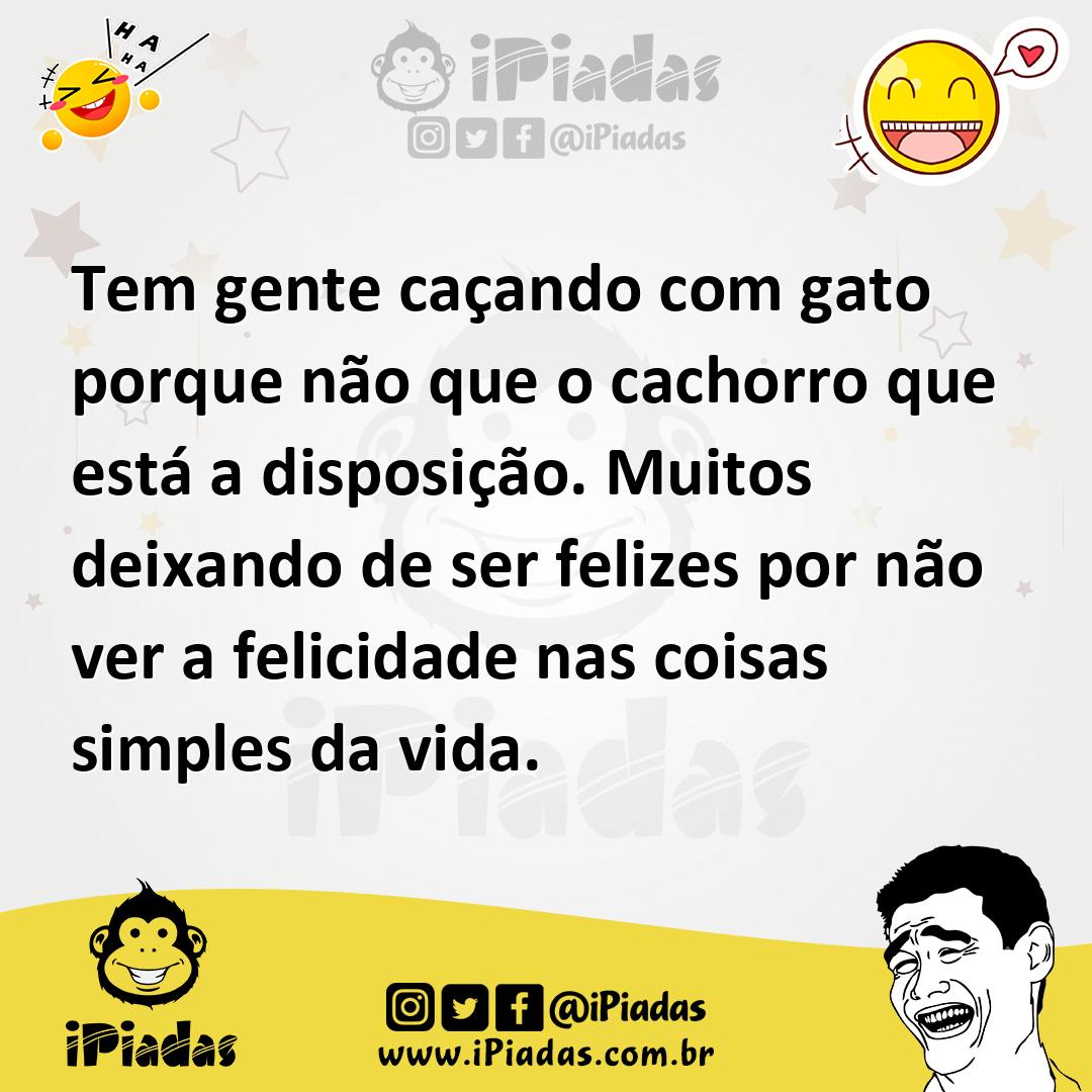 Ilustração de Tem gente caçando com gato porque não que o cachorro que está a dispos... no iPiadas