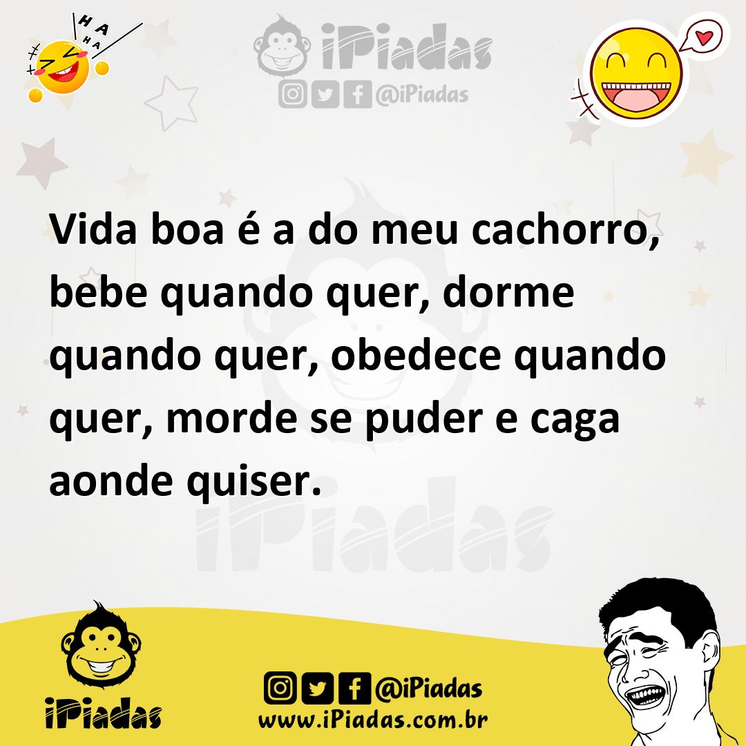 Ilustração de Vida boa é a do meu cachorro, bebe quando quer, dorme quando quer, obe... no iPiadas