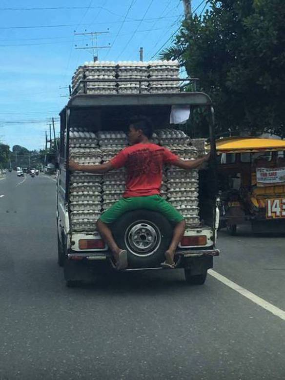 Imagem engraçada Protegendo os Ovos no iPiadas