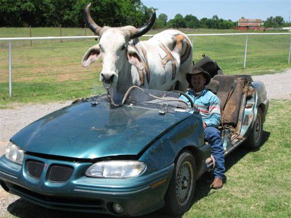 Imagem engraçada Transporte Bovino no iPiadas