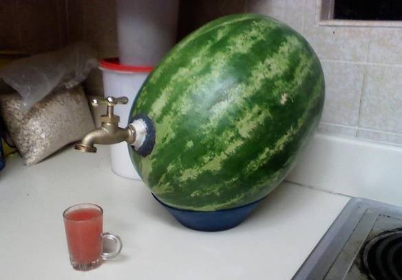 Imagem engraçada Suco de Melancia no iPiadas