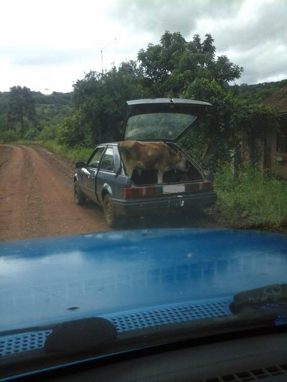 Imagem engraçada Levando a Amiga Passear no iPiadas