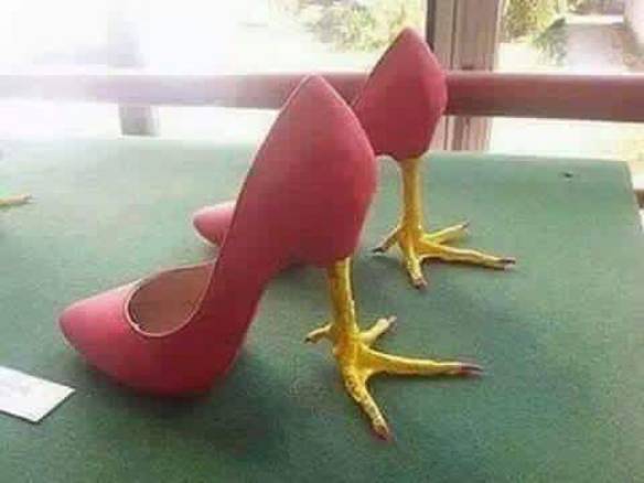 Imagem engraçada Amiga, Achei Um Sapato Para Você no iPiadas
