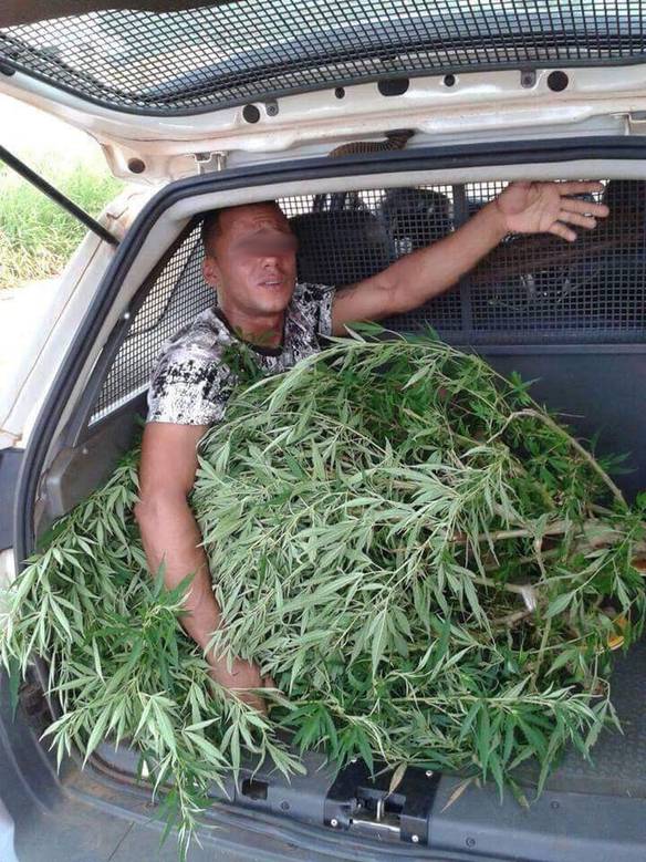 Imagem engraçada Não Me Prende Não, É Cheiro Verde no iPiadas