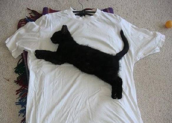 Imagem engraçada Camisa 3D da Puma no iPiadas