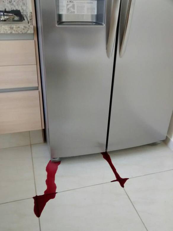 Imagem engraçada A Geladeira Virou Uma Mocinha no iPiadas