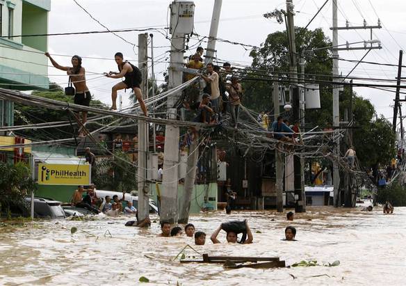 Imagem engraçada Na Enchente Procure Um Lugar Seguro no iPiadas