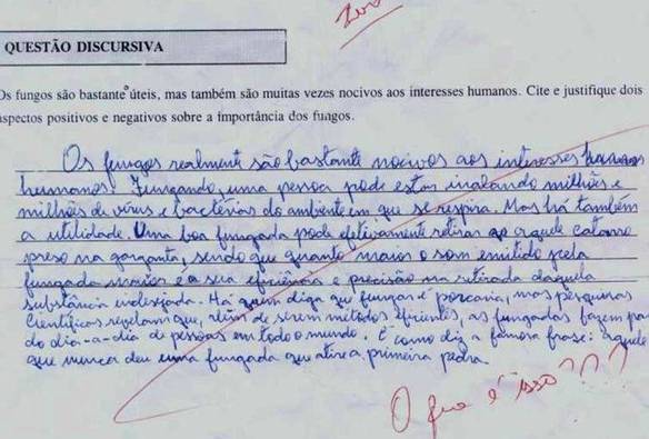 Imagem engraçada Importância dos Fungos no iPiadas