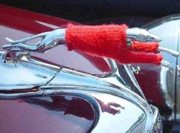 Imagem engraçada Cachorro Aquecido no iPiadas
