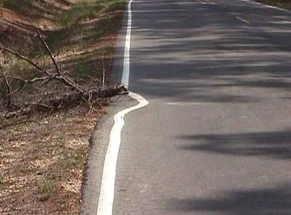 Imagem engraçada Trabalho de Preguiçoso no iPiadas