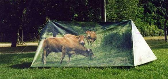 Imagem engraçada Vacas Ilustrativas no iPiadas