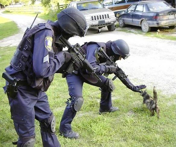 Imagem engraçada Gato Perigoso no iPiadas