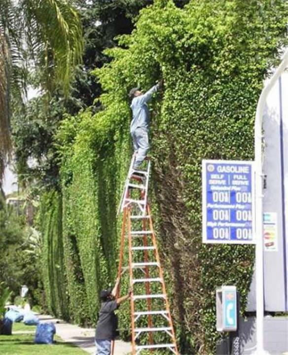 Imagem engraçada Escada Adaptada no iPiadas