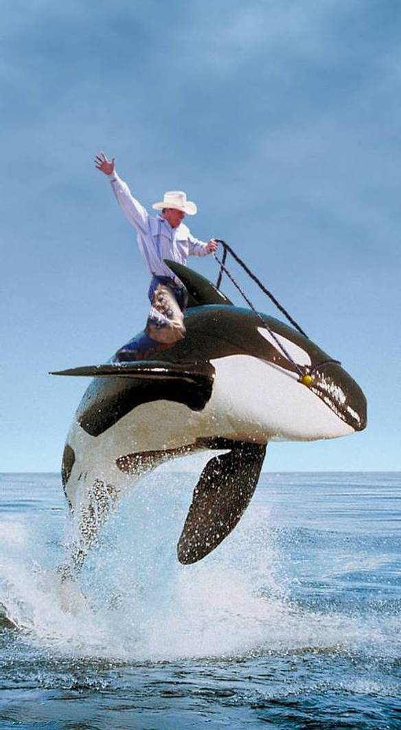 Imagem engraçada Rodeio Aquático no iPiadas