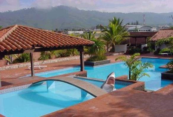 Imagem engraçada Piscina Perigosa no iPiadas