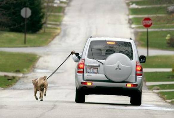 Imagem engraçada Levando pra passear no iPiadas