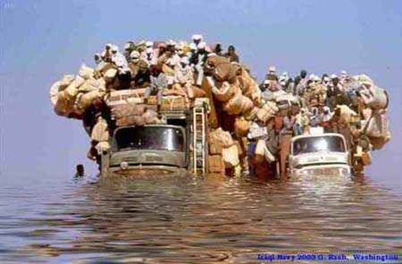 Imagem engraçada Direito Ao Transporte Com Conforto no iPiadas