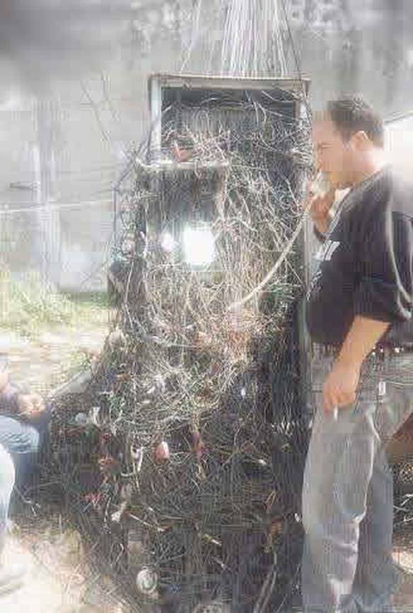 Fiação Telefônica Organizada