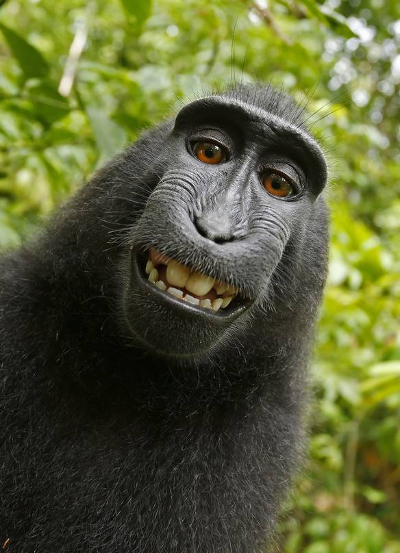 Imagem engraçada Você Sorrindo Me Deu Onda no iPiadas