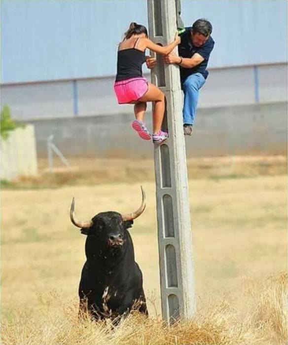 Imagem engraçada Basta um Incentivo Para Subir na Vida no iPiadas