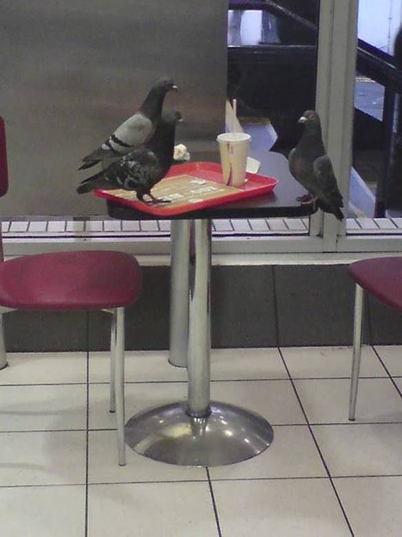 Imagem engraçada Curtindo Um Lanche Com os Amigos no iPiadas