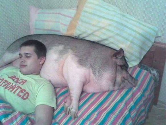 Imagem engraçada O Melhor Travesseiro no iPiadas