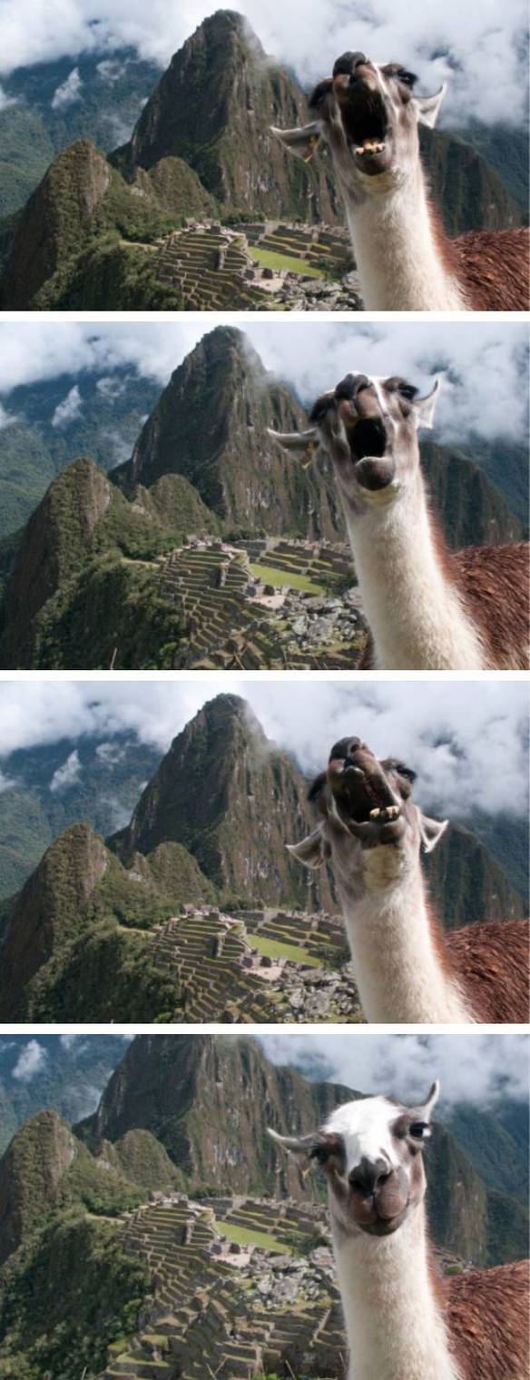 Imagem engraçada Procurando a Selfie Perfeita no iPiadas