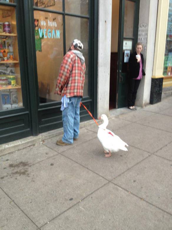 Passeando Com o Amiguinho