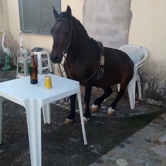 Bebo Pra Esquecer Daquela Égua