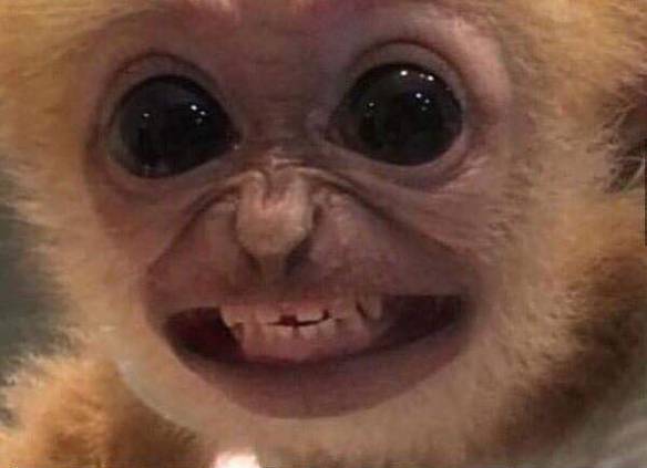 Imagem engraçada Quando Você Acende a Luz e Percebe Que Tem Festa Surpresa no iPiadas