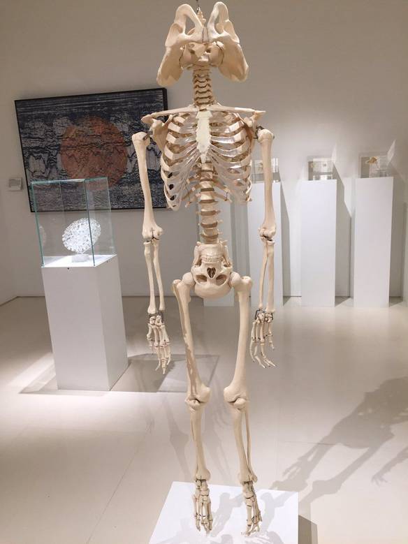 Imagem engraçada Agora Mexe a Cabeça... no iPiadas