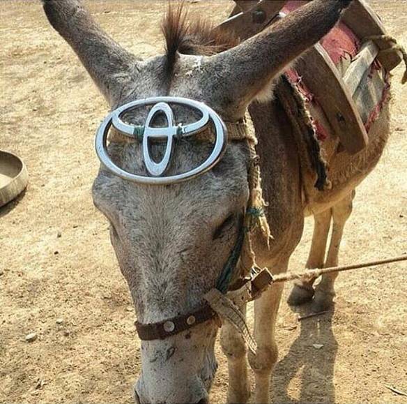 Imagem engraçada Vou de Toyota no iPiadas