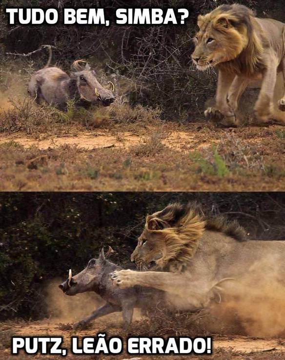 Imagem engraçada Tudo Bem, Simba? no iPiadas