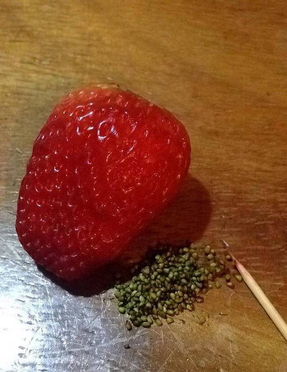 Imagem engraçada Isso É Ter Paciência no iPiadas