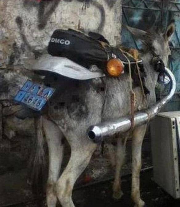 Imagem engraçada Essa Moto É Confiável no iPiadas