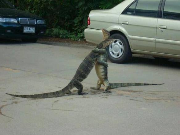 Imagem engraçada Dois Pra Cá, Dois Pra Lá... no iPiadas