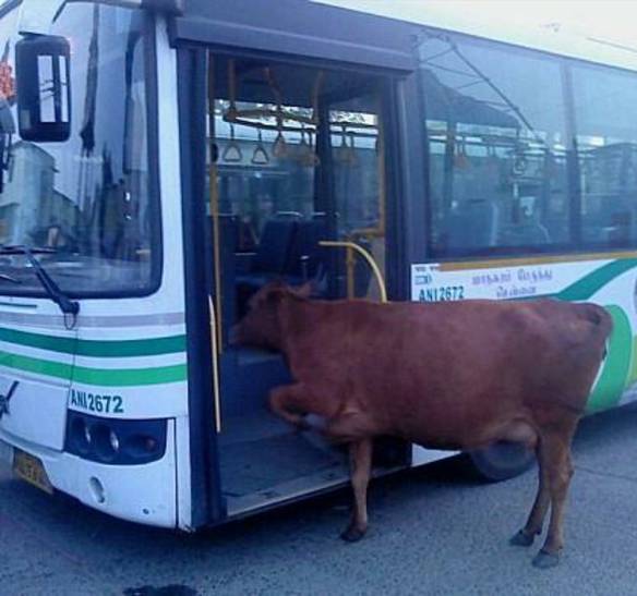Imagem engraçada Amiga, Te Vi Pegando o Ônibus no iPiadas